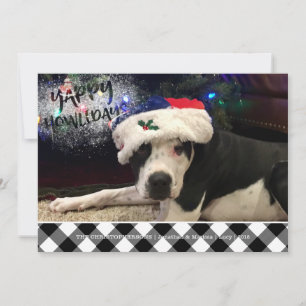 Hondenfoto YAPPY HOWLIDAYS B&W Buffalo Check Feestdagenkaart