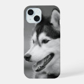 Hondenfoto zwart-wit  iPhone 15 case (Achterkant)