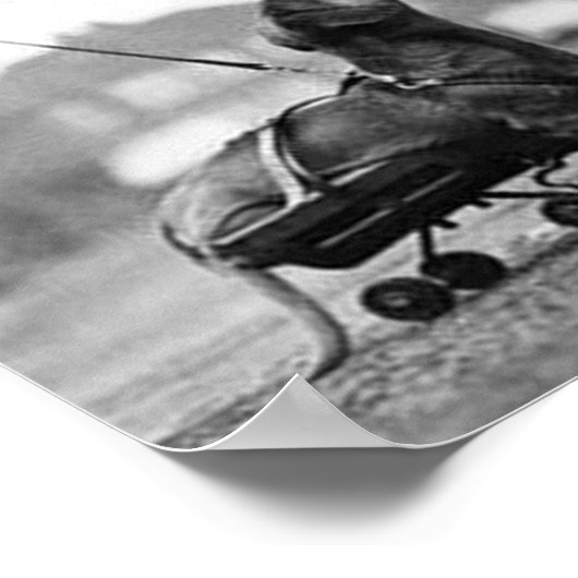  hondenfoto's Dachshund Dogs retro pet love Poster (Hoek)