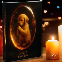 Hondengedenkfoto Blok - Golden Retriever