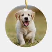 Hondengeheugen ter ere van huisdier Citaat Aanpass Keramisch Ornament (Voorkant)