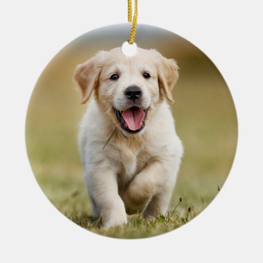 Hondengeheugen ter ere van huisdier Citaat Aanpass Keramisch Ornament (Voorkant)