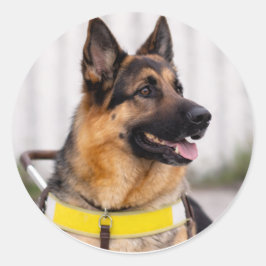 Hondengeleidehond Duitse Herdershond Diploma Envel Ronde Sticker