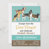 Hondengevangenis Thema, Escape Room Verjaardagsfee Kaart (Voorkant)