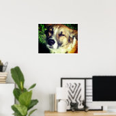 Hondengezicht Photo Value Poster papier (mat) (Thuiskantoor)