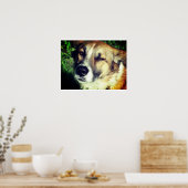 Hondengezicht Photo Value Poster papier (mat) (Keuken)