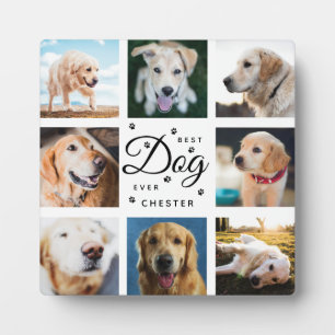 Hondenherdenking Geschenk Beste Hond Ooit Moderne  Fotoplaat