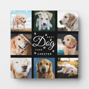 Hondenherdenking Geschenk Beste Hond Ooit Rustieke Fotoplaat