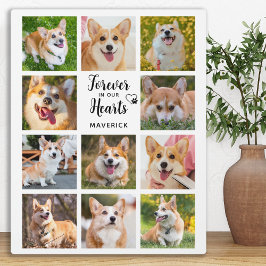 Hondenherdenking Voor Altijd In Onze Hart Foto Col Fotoplaat