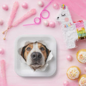 Hondenhond gluren door gescheurd papiergat papieren bordje (Feest)