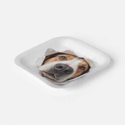 Hondenhond gluren door gescheurd papiergat papieren bordje (Gebogen)