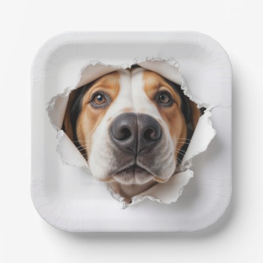 Hondenhond gluren door gescheurd papiergat papieren bordje (Voorkant)