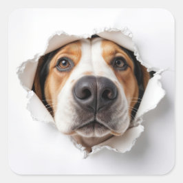 Hondenhond gluren door gescheurd papiergat vierkante sticker