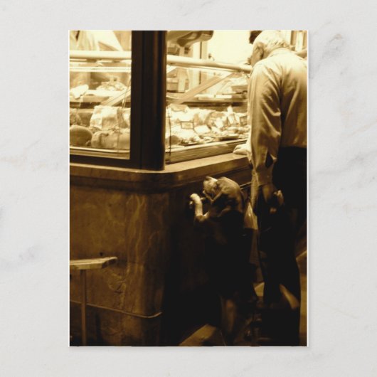 Hondenhond in Italië Briefkaart (Voorkant)