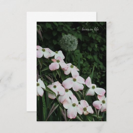 Hondenhout & Allium Notitiekaartje (Voorkant / Achterkant)