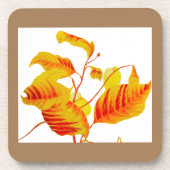 Hondenhout Bladeren op Onderzetters (Voorkant)