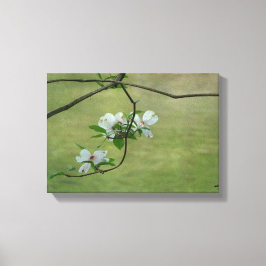 Hondenhout boom muur kunst canvas afdruk (Voorkant)