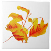 Hondenhouten bladeren op keramische Tegel Tegeltje (Voorkant)