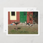 hondenhuis briefkaart (Voorkant / Achterkant)