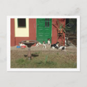 hondenhuis briefkaart (Voorkant)