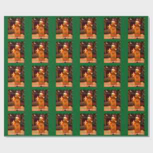 HONDENHUISDIERONTWERP VOOR KERST CADEAUPAPIER