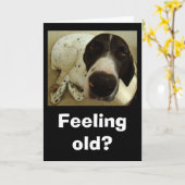 Hondenjaren Kaart (Gele Bloem)