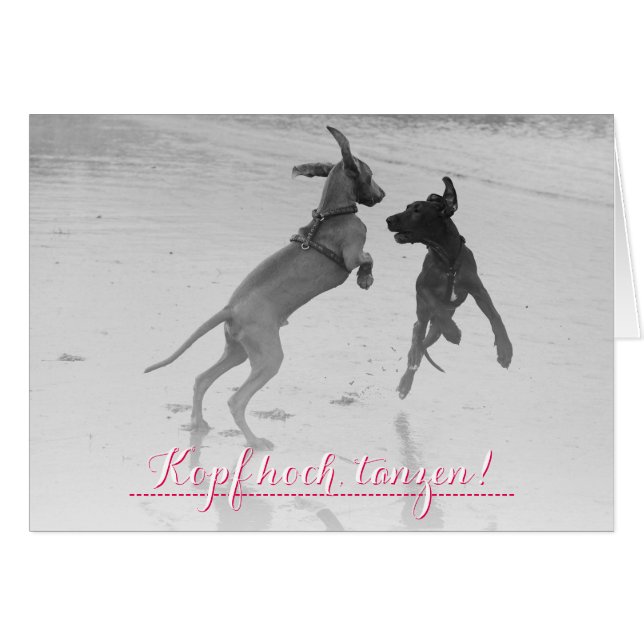 Hondenkaart "Dansen" (Voorkant Horizontaal)