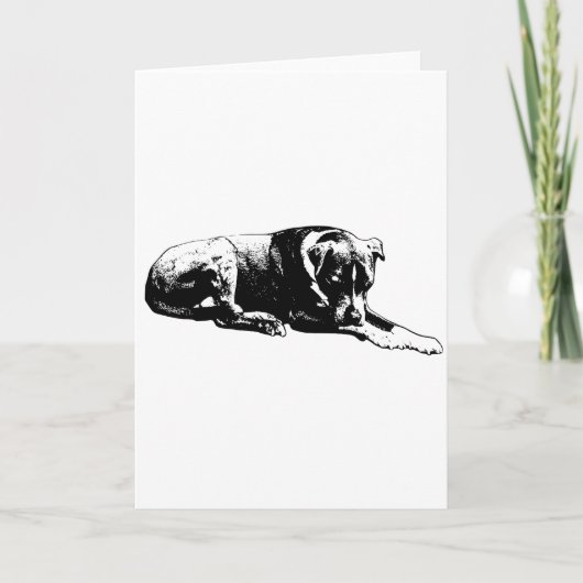 Hondenkaart met heldere blik kaart (Voorkant)