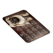 Hondenkalender 2016 Foto Kleine Magneet 3x4 (Rechterzijde)