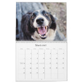 Hondenkalender 2026 kalender (Mar 2027)
