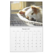 Hondenkalender 2026 kalender (Jan 2027)