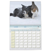 Hondenkalender en kat kalender (Jan 2027)