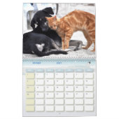 Hondenkalender en kat kalender (Feb 2027)