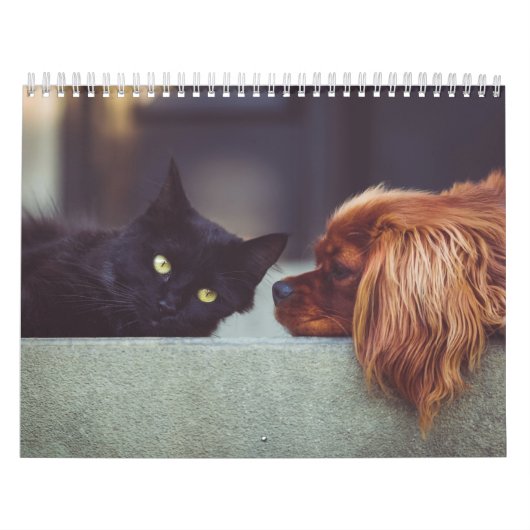 Hondenkalender en kat kalender (Hoes)