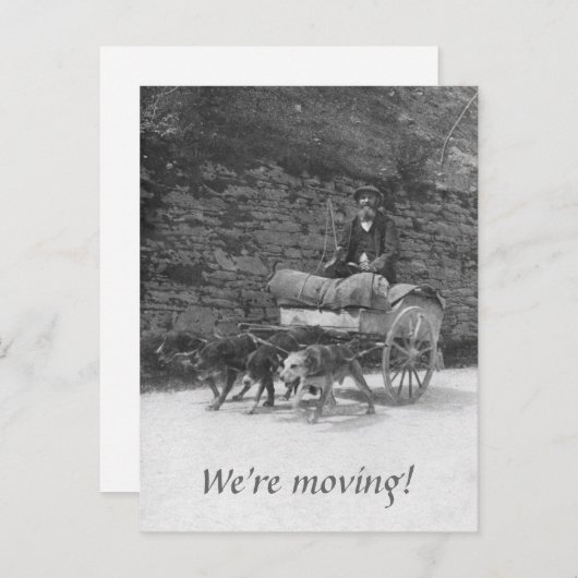 Hondenkar met bebaard man in beweging aankondigingskaart (Voorkant / Achterkant)