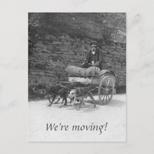 Hondenkar met bebaard man in beweging aankondigingskaart (Voorkant)