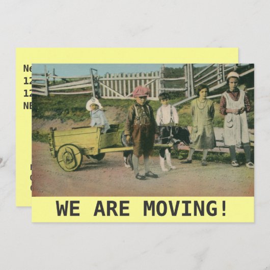  hondenkar We bewegen ons tot de aankondiging (Voorkant / Achterkant)