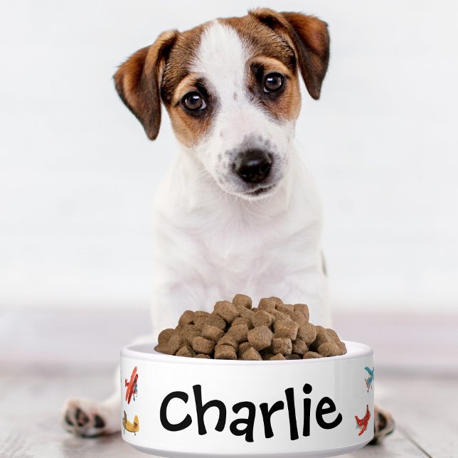 Hondenkattenbak Schattigee Waterverf Vliegtuignaam Voerbakje (Creator heeft geüpload)