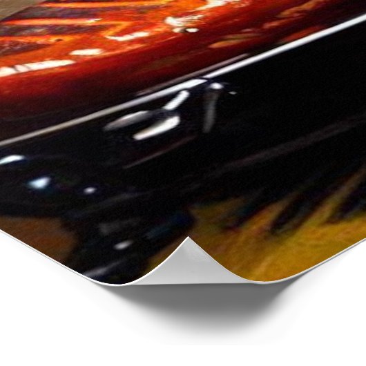 hondenkok poster (Hoek)