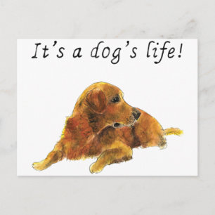 Hondenleven Cute Goud Retriever Aquarel Kunst Briefkaart