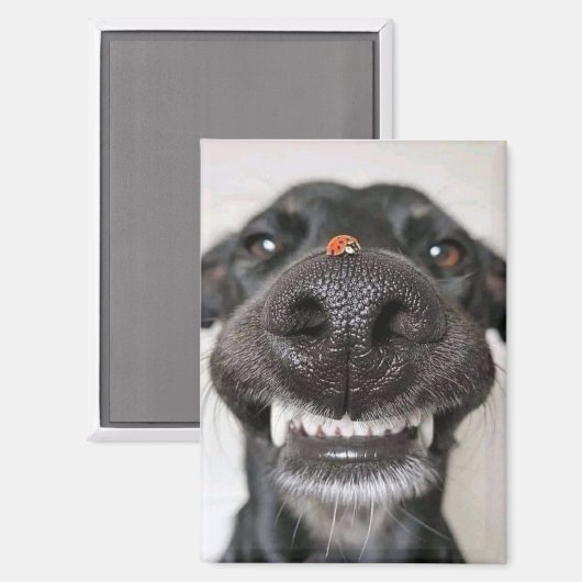 Hondenliefde.. Magneet (Voorkant / Achterkant)