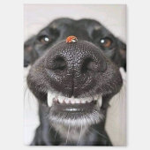 Hondenliefde.. Magneet (Voorkant)