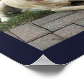 Hondenliefhebber 12 Foto's Thuis is waar onze hond Poster (Hoek)