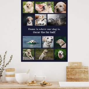 Hondenliefhebber 12 foto's Thuis is waar onze hond Poster