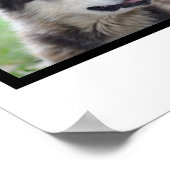 Hondenliefhebber 4 op foto aangepast collage poster (Hoek)