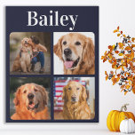 Hondenliefhebber Afbeelding Collage Pet Monogram p Imitatie Canvas Print<br><div class="desc">Viel uw beste vriend met een de canvasdruk van de de fotocollage van de douane huisdier. Of je nu een nieuwe puppy hebt, of om elk jaar alle speciale momenten te onthouden, elk huisdier verdient een gepersonaliseerd petfotocanvas! Ons doek van de hondenfoto heeft 9 foto's, gewaagde monogram om zich te...</div>