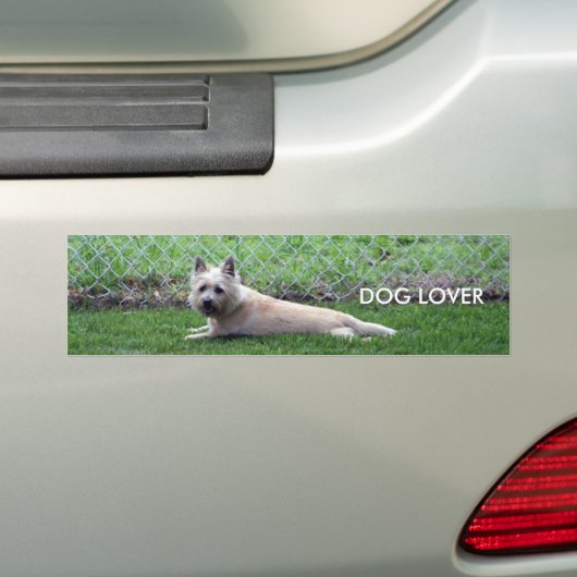 , HONDENLIEFHEBBER BUMPERSTICKER (Op auto)