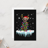 Hondenliefhebber | Chocolade Labrador Kerstlicht Kaart (Voorkant / Achterkant in situ)