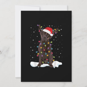 Hondenliefhebber   Chocolade Labrador Retriever Ke Kaart