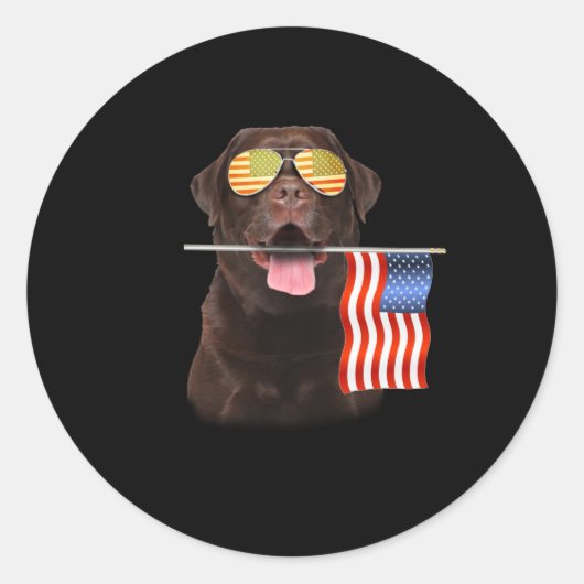 Hondenliefhebber | Chocolade Labrador USA American Ronde Sticker (Voorkant)